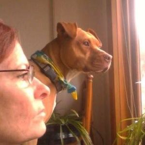 Meet your Posher, Tracie